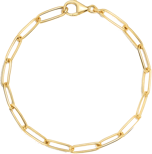 Frequense Tuned 18K Gold PVD Bracelet