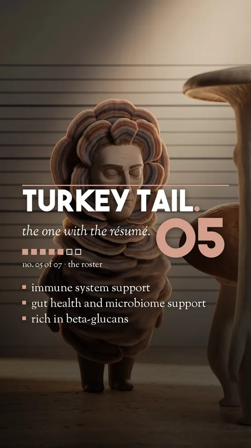 Turkey Tail mushroom character player card, 9:16 format
